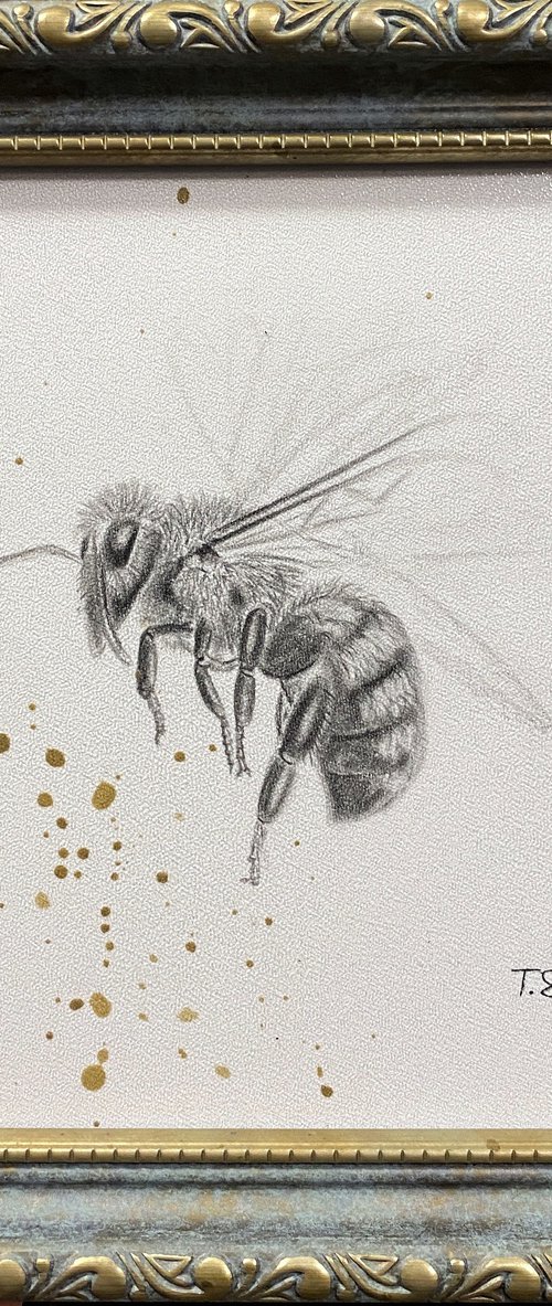 Bee and honey by Tina Shyfruk