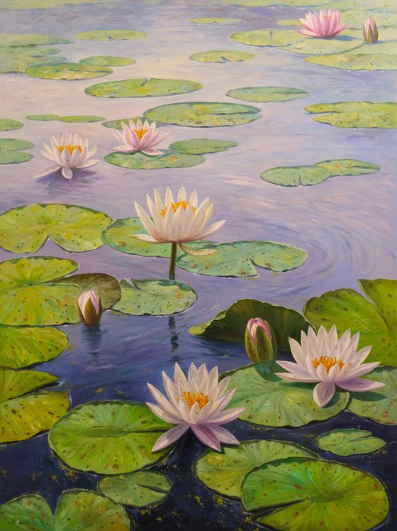 Water Lilies