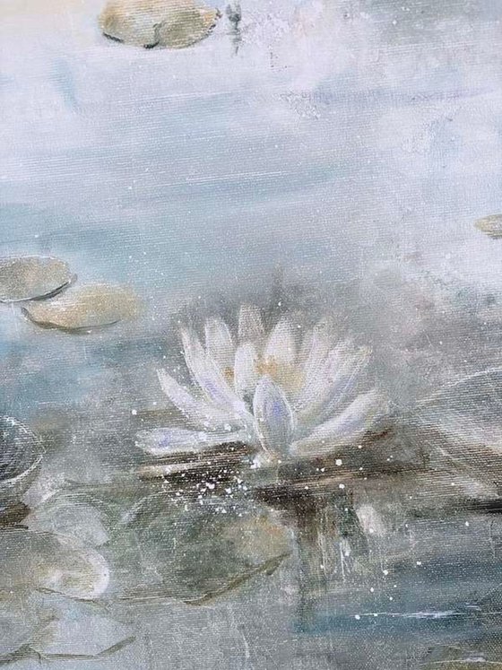 Water Lilies in Morning Mist