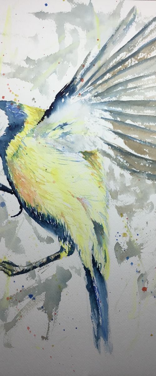 Great Tit by Sabrina’s Art