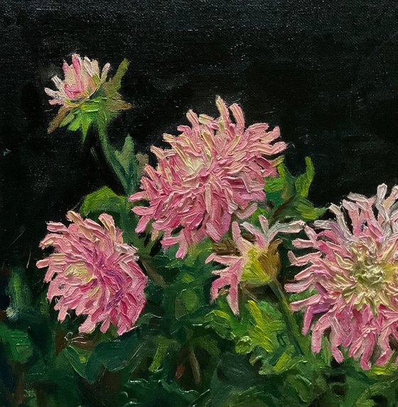 DAHLIAS
