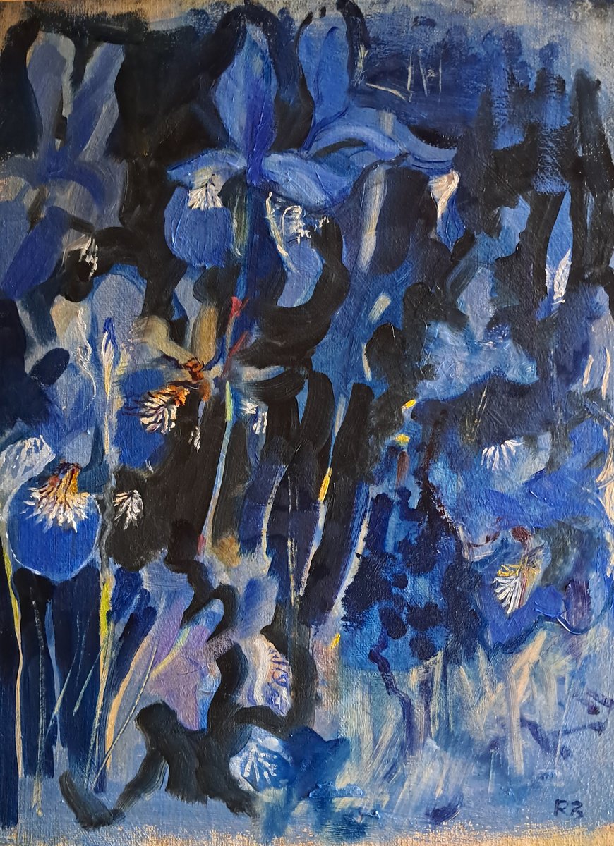 24 irises by Rosemary Burn