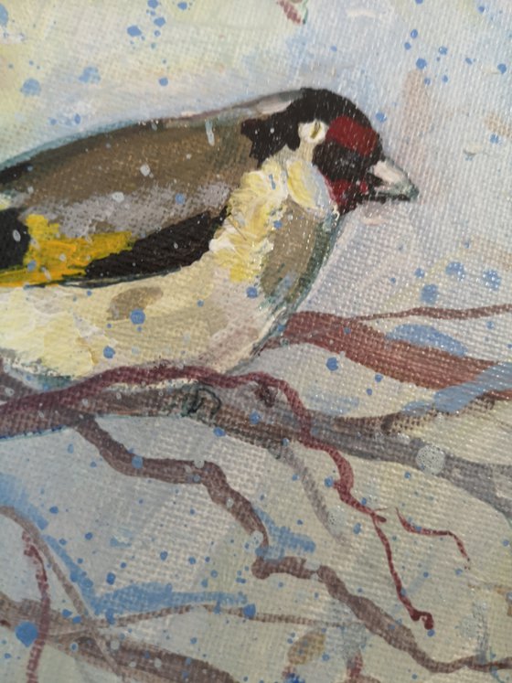 Goldfinch