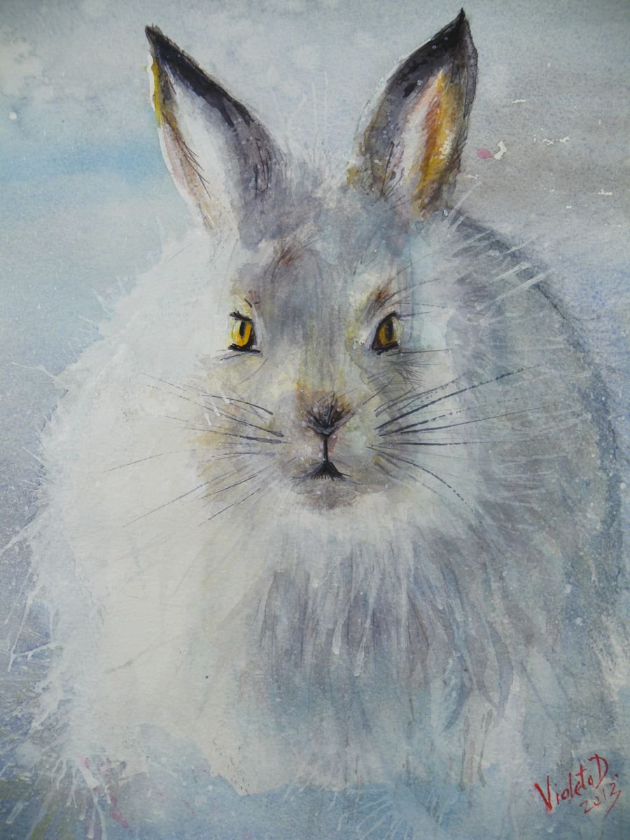 Snow Rabbit Watercolour By Violeta Damjanovic-behrendt 