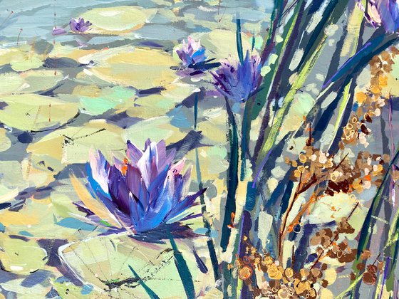 Flowering Water Lillies
