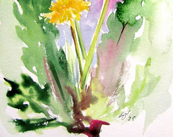 Dandelions II