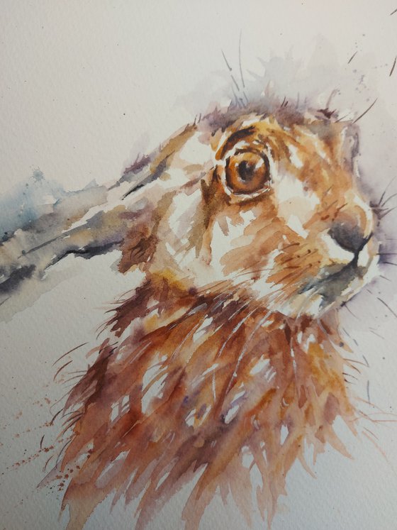 Hare in Watercolour