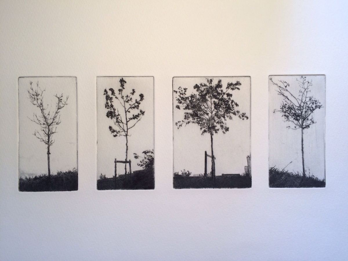 Group of four trees by Richard Kaye