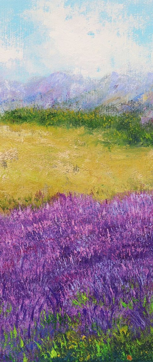 Lavender landscape by Ludmilla Ukrow