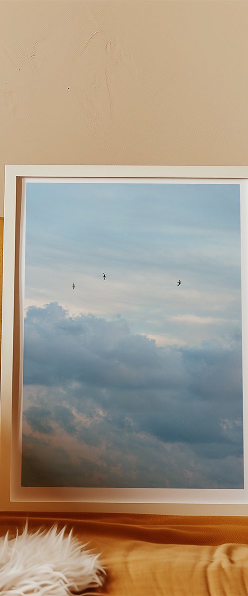 3 Swallows by Frankie Malone