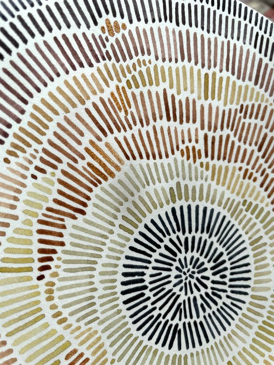 Brown abstract eye