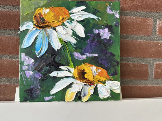 Two daisies