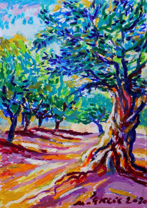 Olive grove No 23