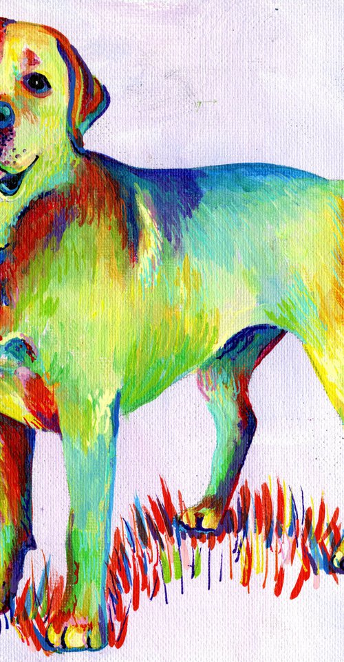 Rainbow Labrador by Tiffany Budd