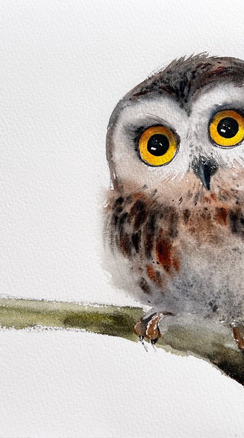 Little owl on a branch #10 by Eugenia Gorbacheva