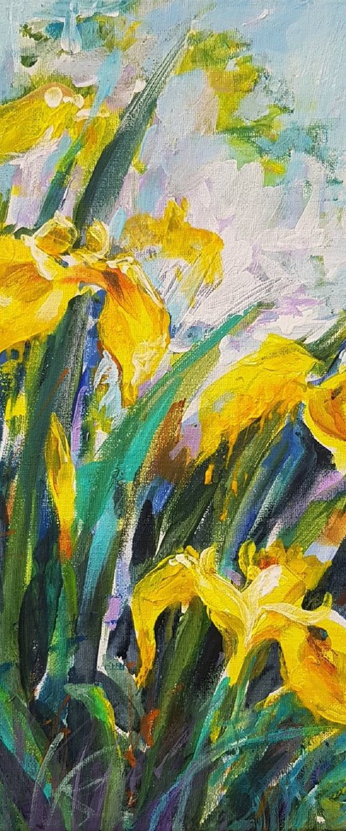 Yellow Irises by Olga Lomax