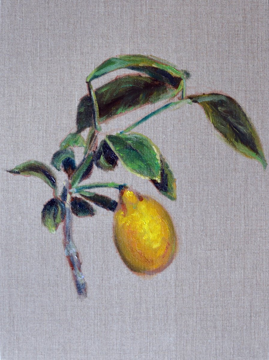 Impressionistic Botanical Oil Painting By Anna Brazhnikova, 12 X 16, Lemon Tree | Ukrainian Artist, Original Artwork