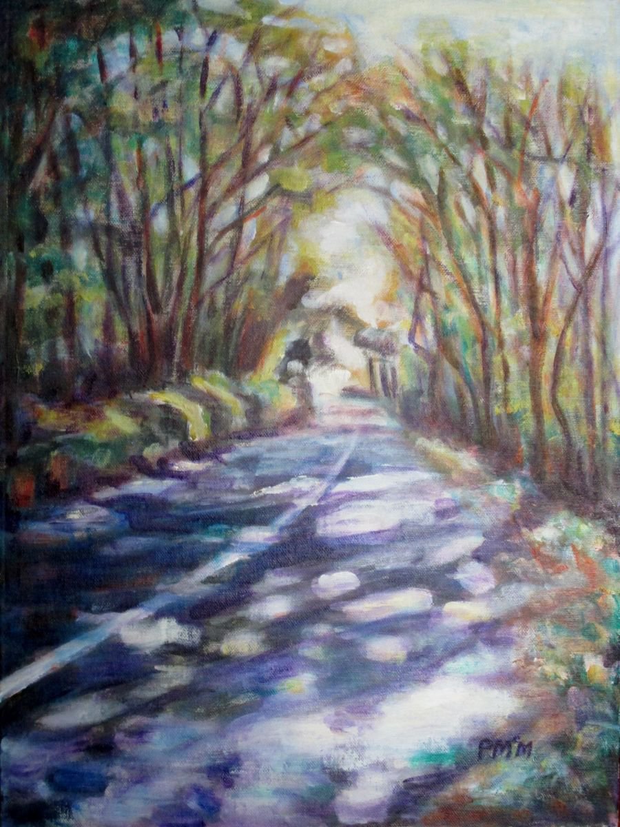 Lakeside Road Shadows by Pamela McMahon