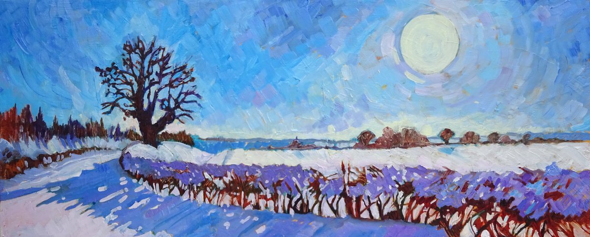 Snow Covered Landscape by Mary Kemp