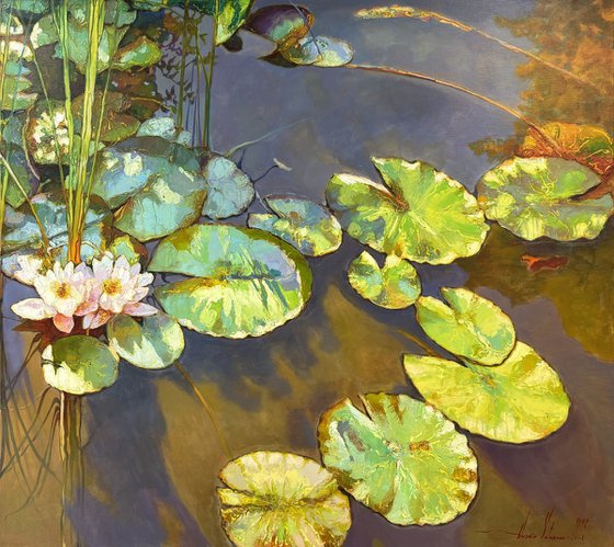 Water Lilies