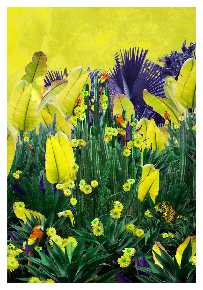 Surrealistic Botanical Photograph By Nadia Attura, 28 X 39", Cactus Grove, Original Artwork