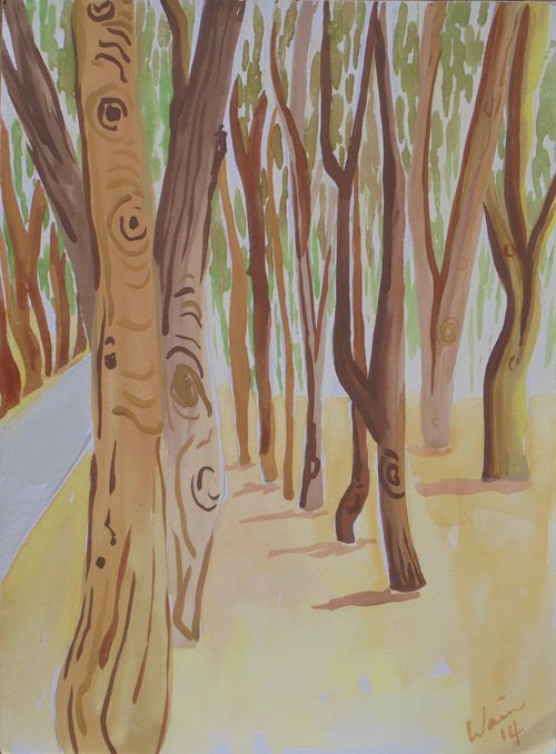 Eucalyptus trees by Kirsty Wain