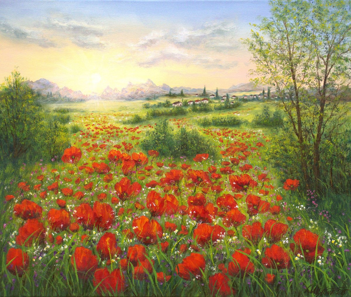 Photorealistic Oil Painting , Sunrise On The Poppy Field By Ludmilla Ukrow, 24 X 20, Artwork For Sale On Artfinder