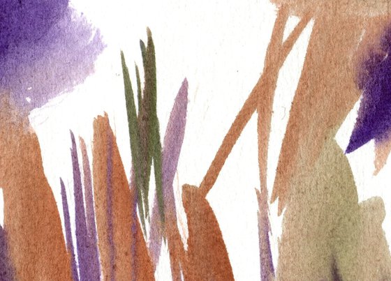 Wild Summer Garden Collection