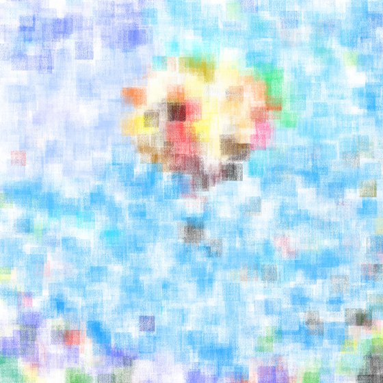 Hot air balloon ride