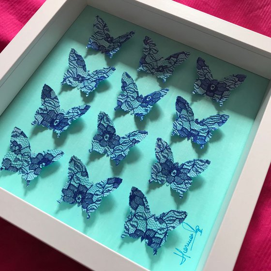 Box of beauties (Blue Lace)