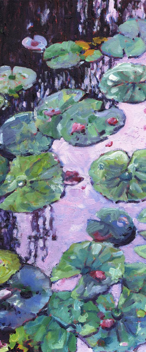 Nympheas and Rose Petals -waterlilies by Zoe Elizabeth Norman