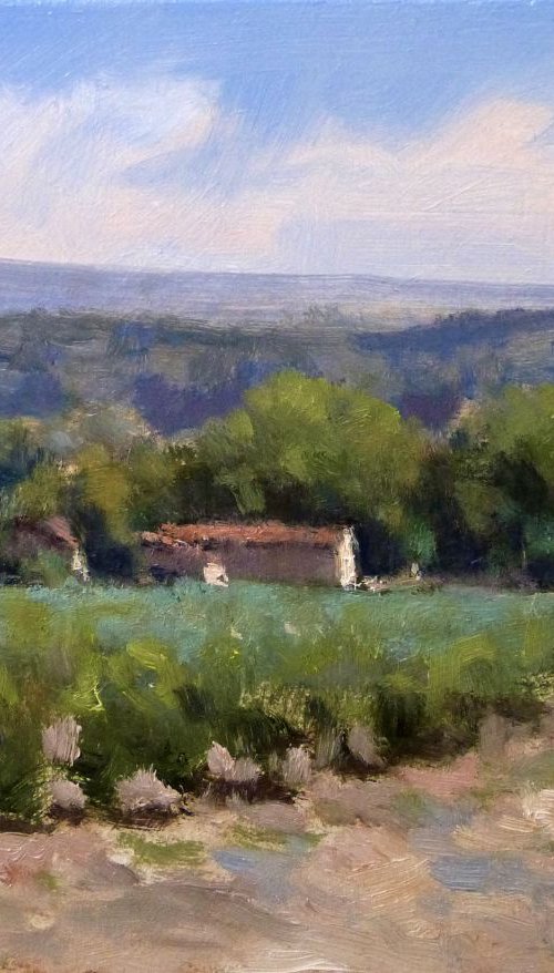 Farm in the Vineyard by Pascal Giroud