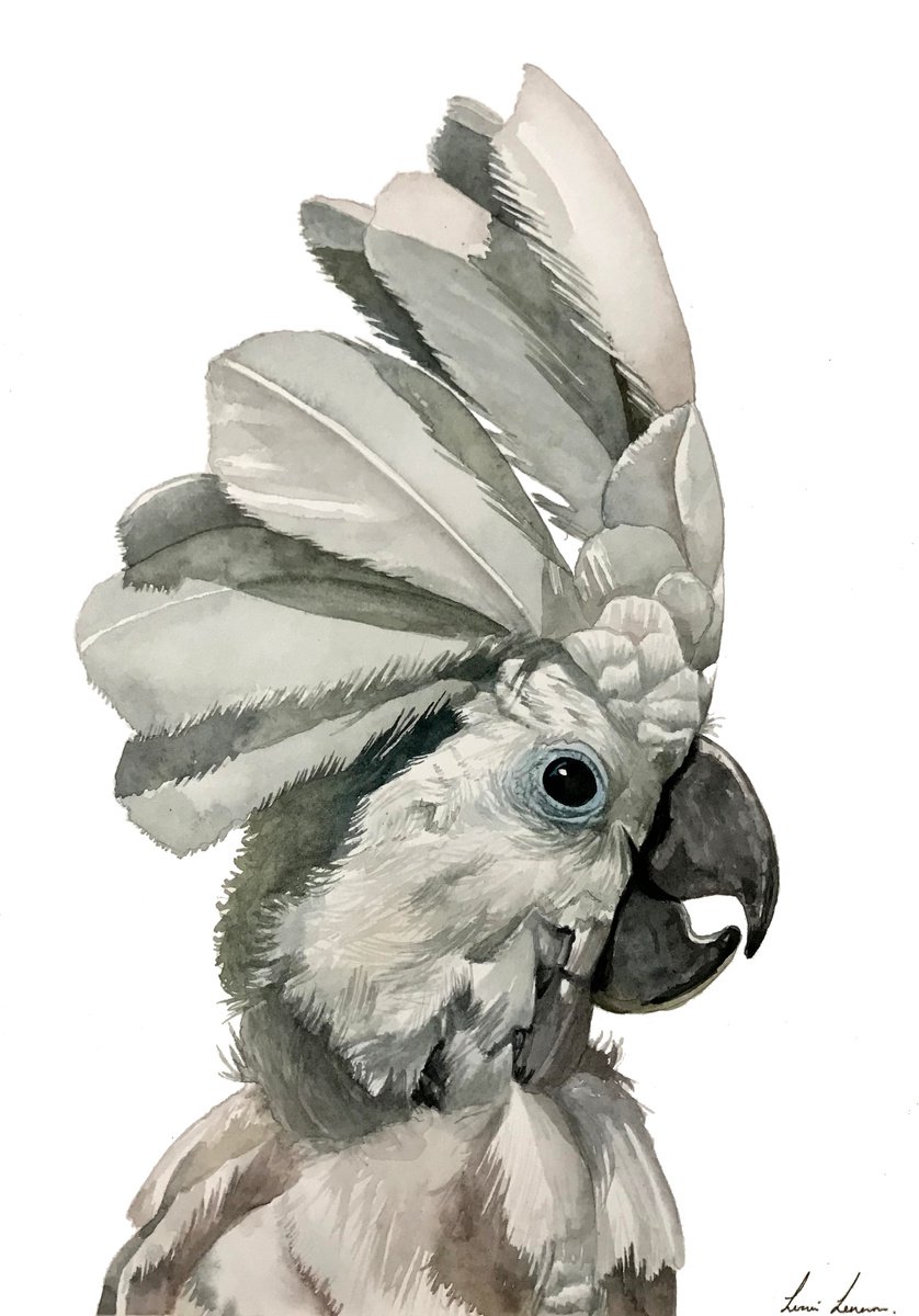 White Cockatoo by Lisa Lennon