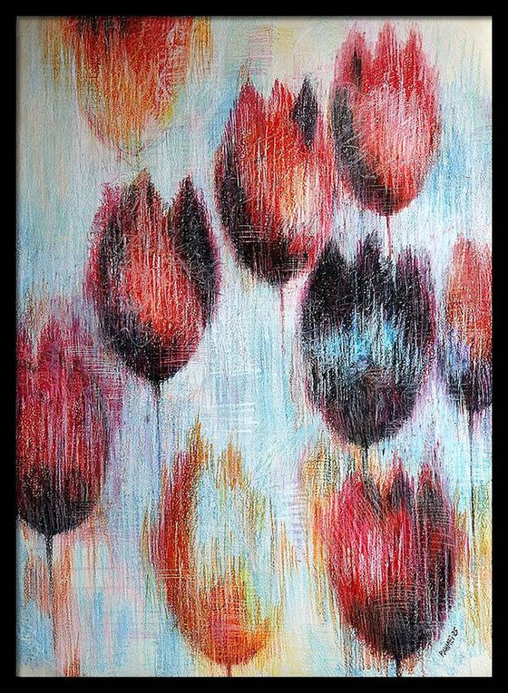 Multicolored Tulips 1