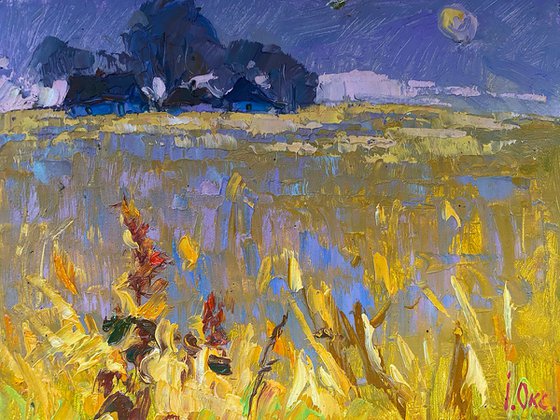 Moon over the field