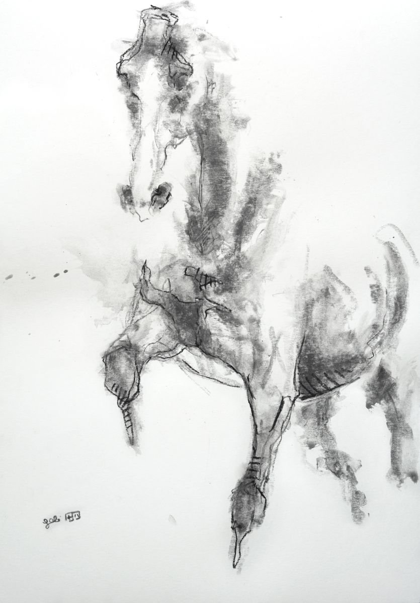 Equine Nude 8p by Benedicte Gele