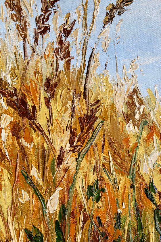 Golden Fields