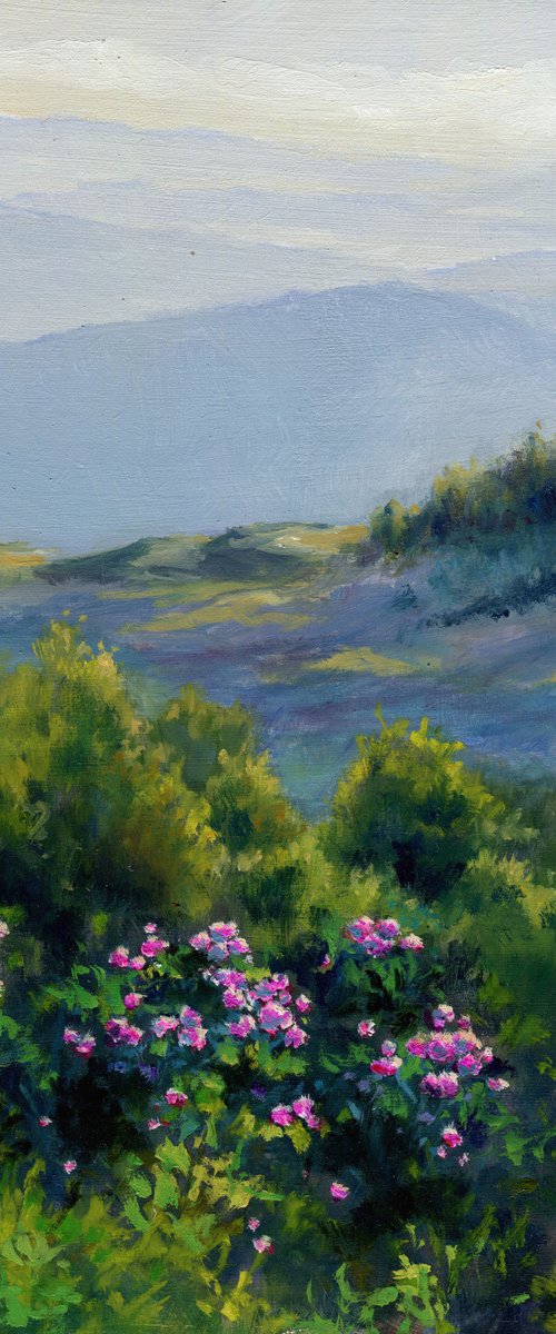 'Where the view is lost' by Lucia Verdejo