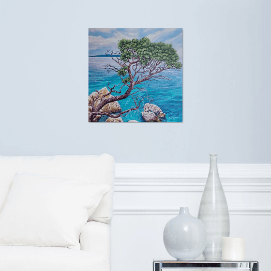 Cypress By The Sea