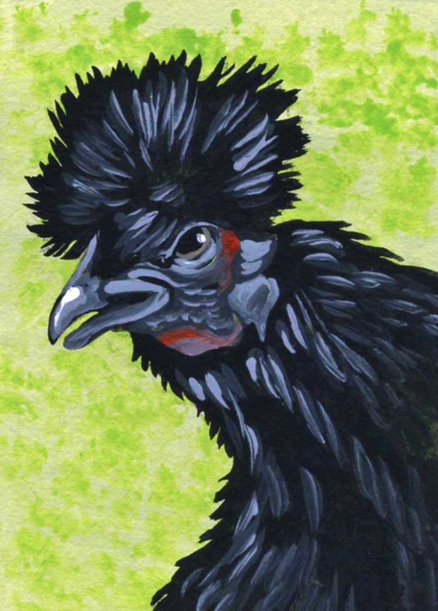 ACEO ATC Original Miniature Painting Fancy Silkie Black Chicken Bird Farmyard Art-Carla S... by carla smale