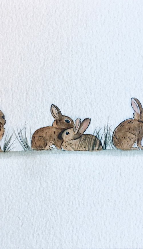 Bunnies by Amelia Taylor