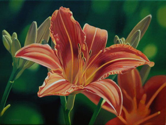Hemerocalis, Flower painting