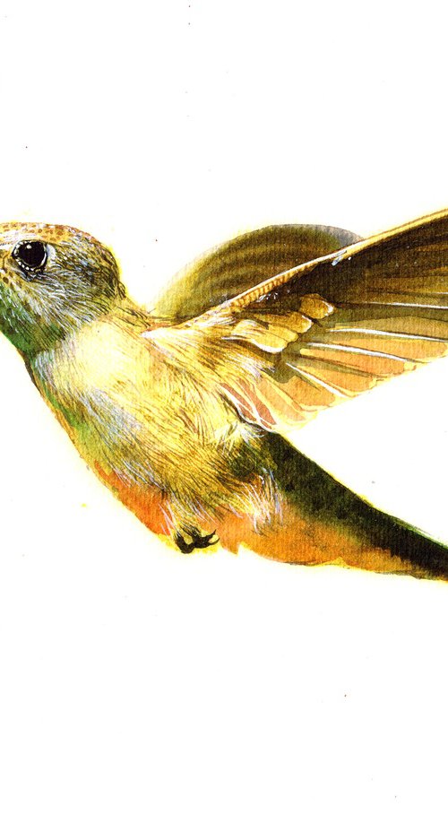 Hummingbird by REME Jr.