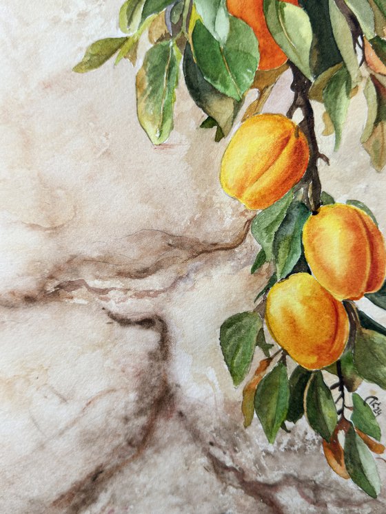 Whispers Through the Wall – Apricots