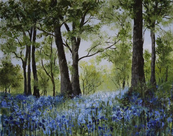 Bluebells