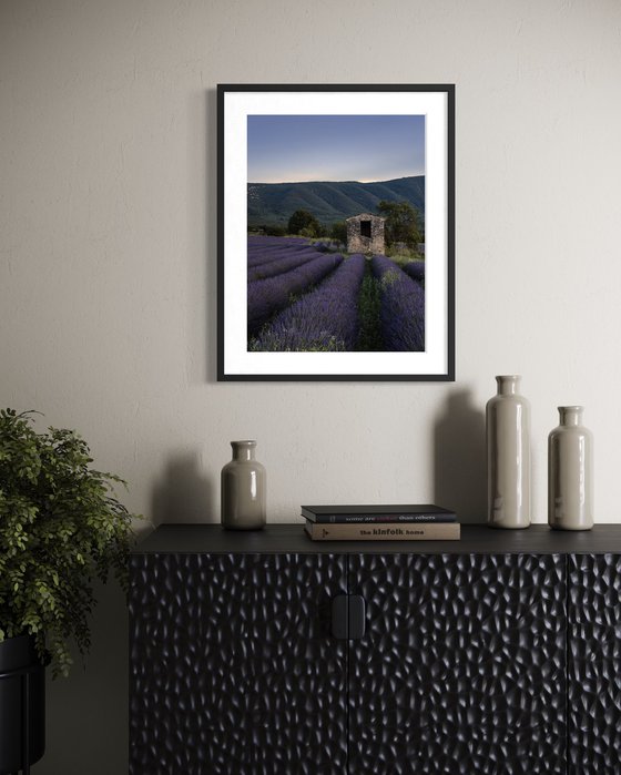 THE SUNSET OF PROVENCE