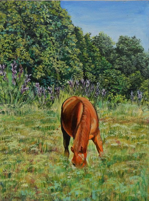 Horse in the field. by Vita Schagen
