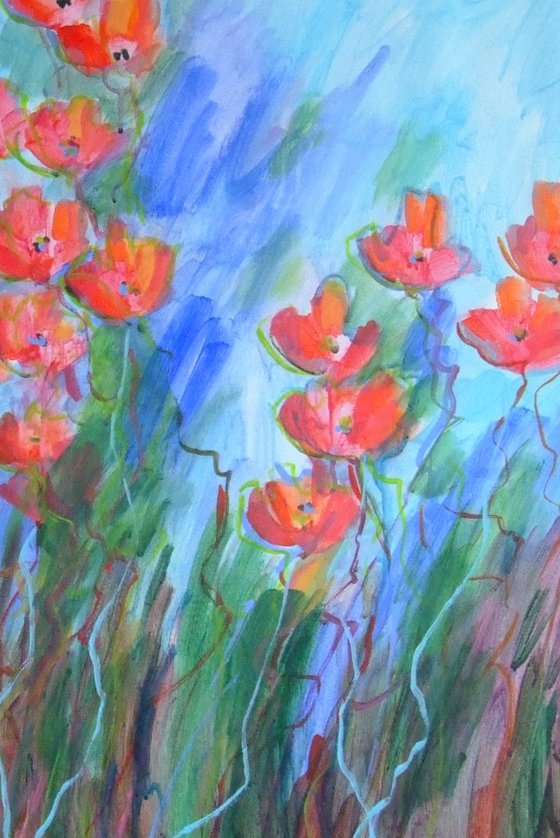 Wild Garden Poppies
