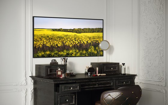 "Golden Canola Field"