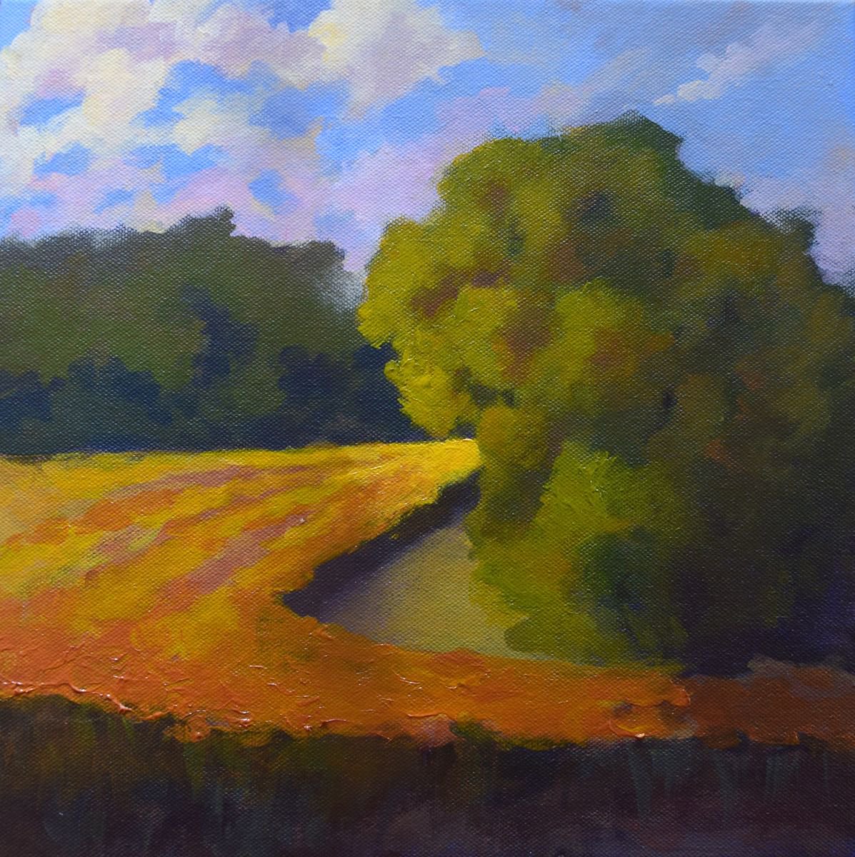 Iowa Fields by Sri Rao